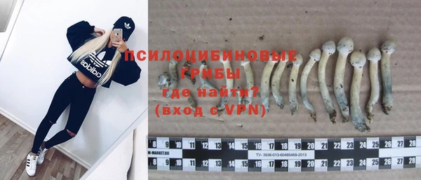 первитин Белокуриха