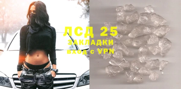 стаф Богданович