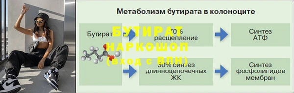 стаф Богданович