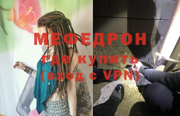 стаф Богданович