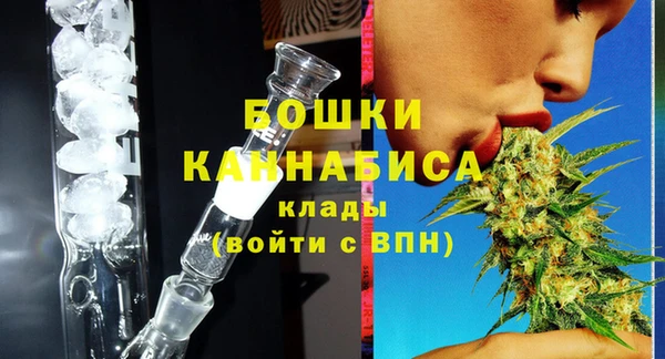 стаф Богданович