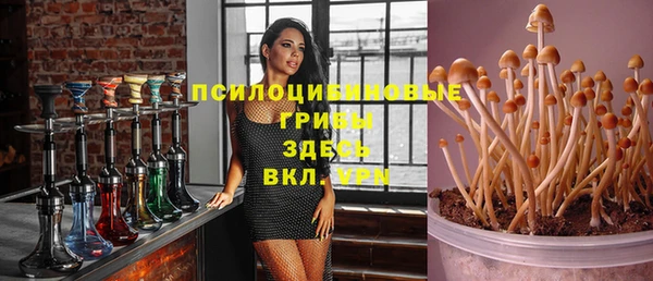 хмурый Богородицк