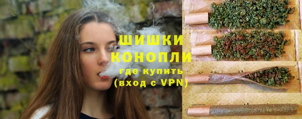 гидра Богородск
