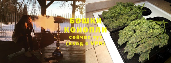 ГАЛЛЮЦИНОГЕННЫЕ ГРИБЫ Белоозёрский