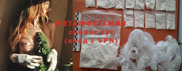 стаф Богданович