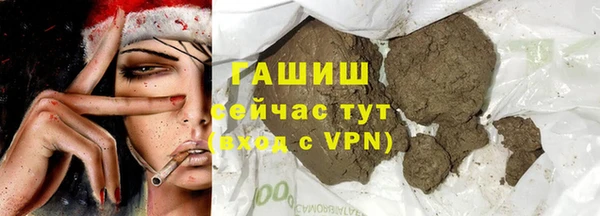 стаф Богданович